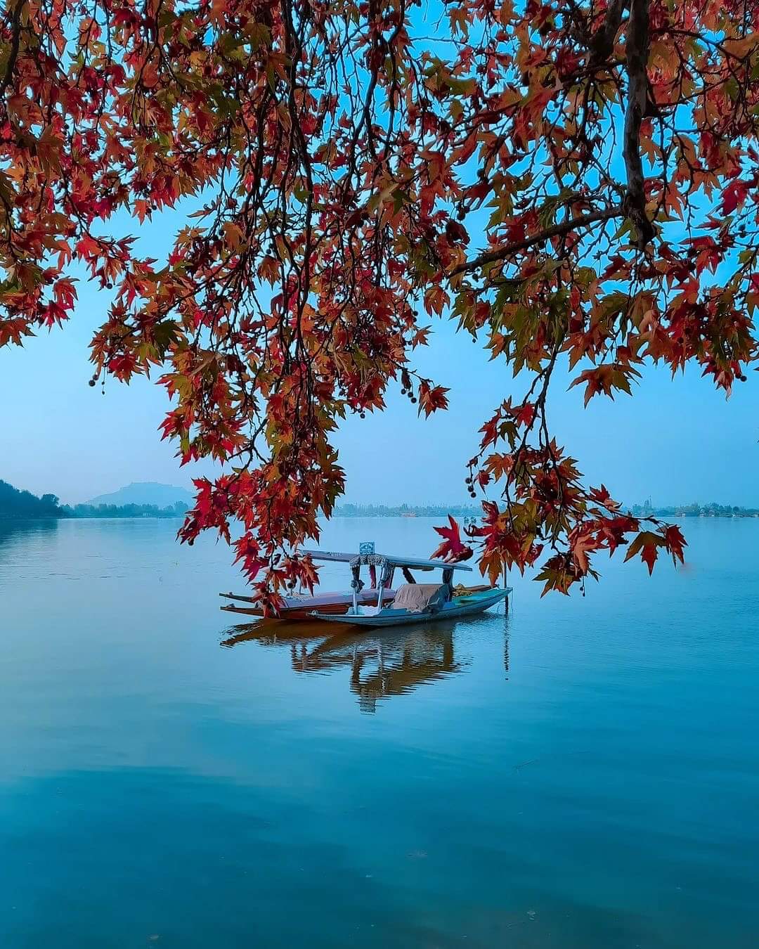 Travel 1